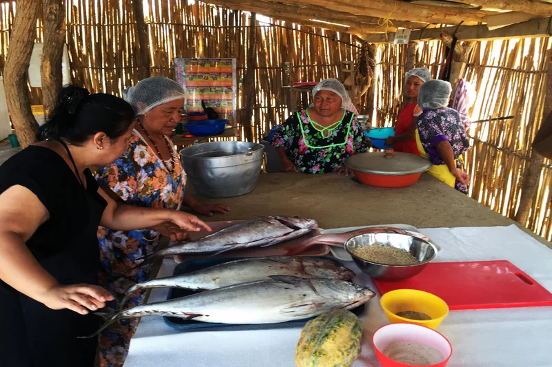 Mujeres wayuu en cocina comunitaria con pescados e ingredientes locales sobre la mesa