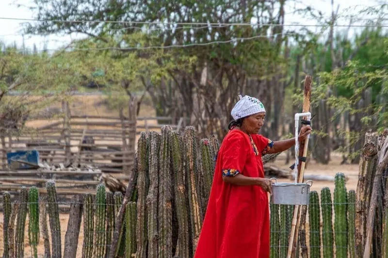 Mujer wayuu con manta roja en territorio cercado por cactus