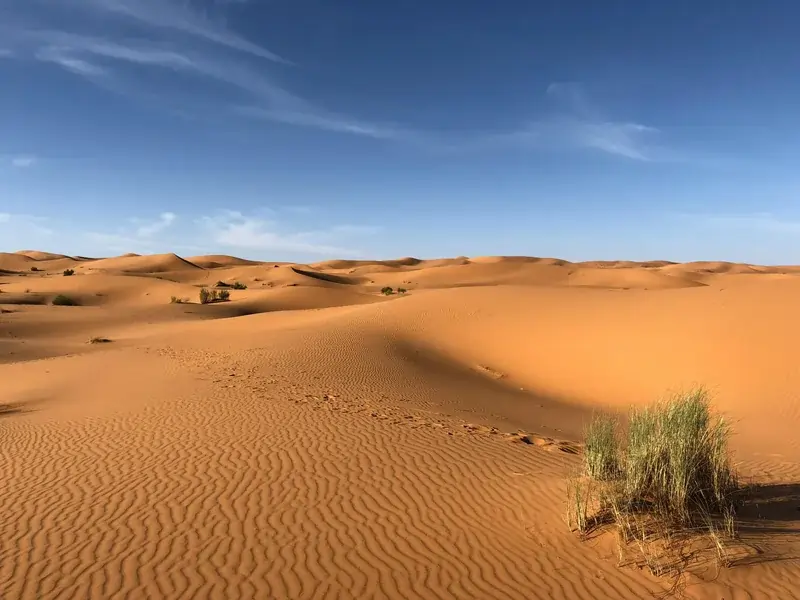 Cielo despejado y dunas iluminadas por el sol en Punta Gallinas