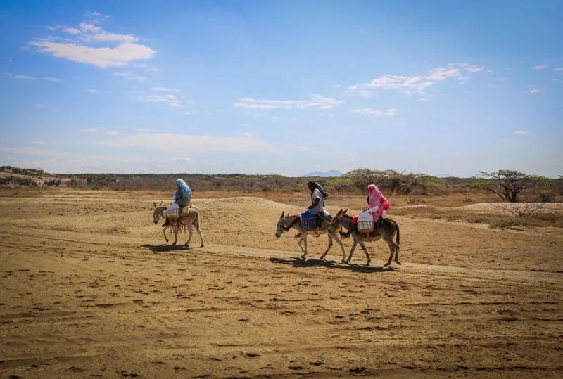 Viajeros Wayuu en burros cruzando camino desértico cerca de Uribia